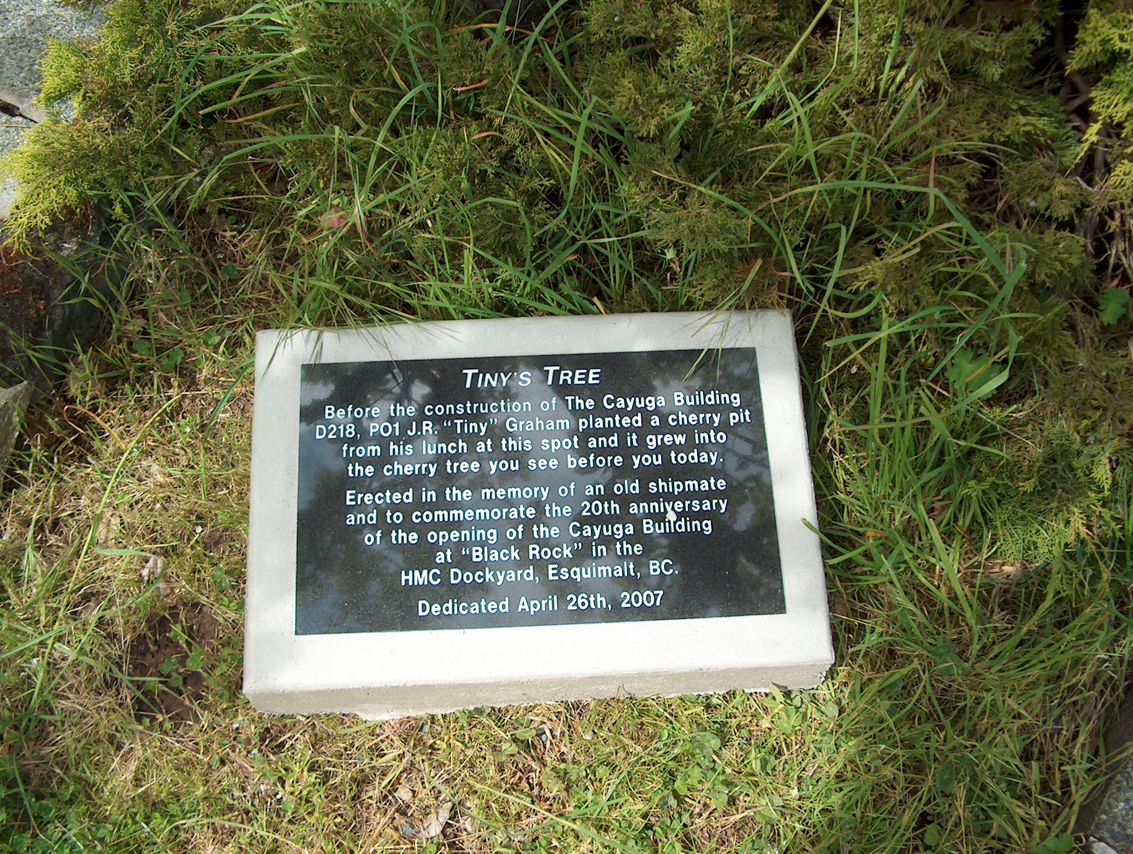 Tiny's plaque